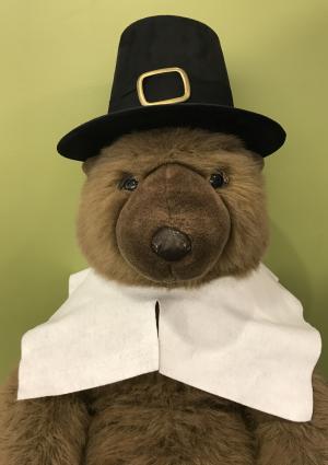 Thorndyke the Bear Dressed as a Stereotypical Pilgrim