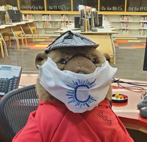Thorndyke the Bear in a Mask to Prevent spreading virus