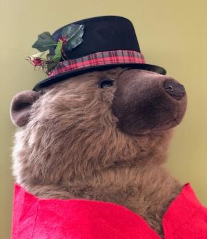 Close Up of Brown Bear with Black Hat Neatly Trimmed with Plaid Ribbon and Berries