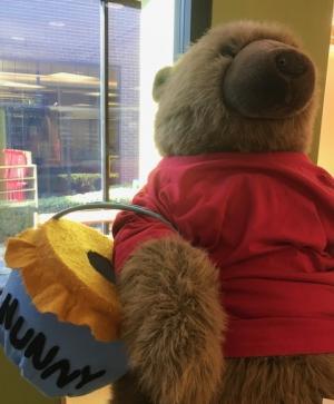 Thorndyke the Bear as Winnie the Pooh