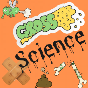 dripping words Gross Science, fly farting, pile of poo, a moldy old broken bone